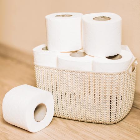 Toilet Paper 10cm X 500m. Simple. Luxury 17gr. Mix Cellulose