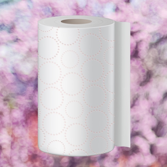 Papel Toalla para Mano